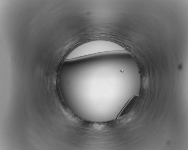 X0000092220570200709140924