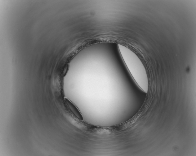 X0000092220572200709140924