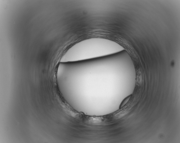 X0000092220573200709140924