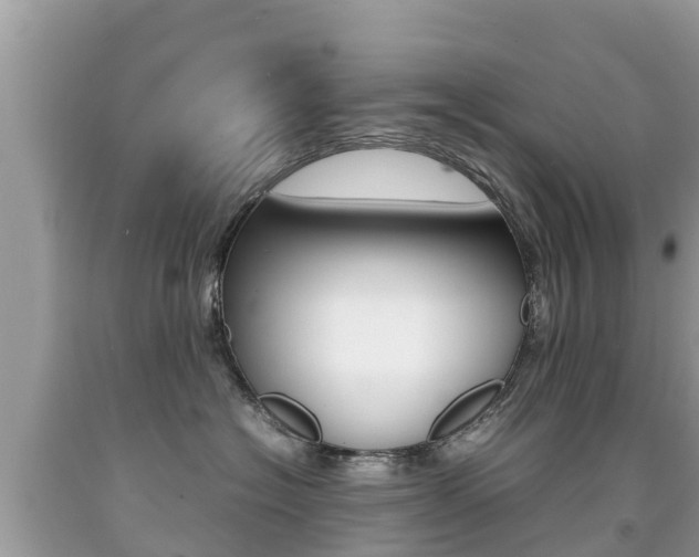 X0000092220574200709140924