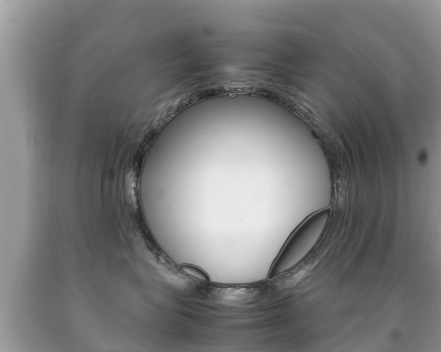 X0000092220575200709140924
