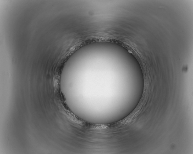 X0000092220576200709140924