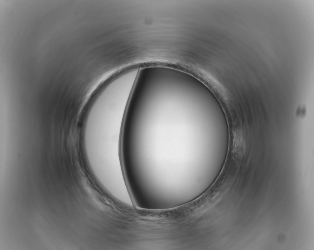 X0000092220580200709140923