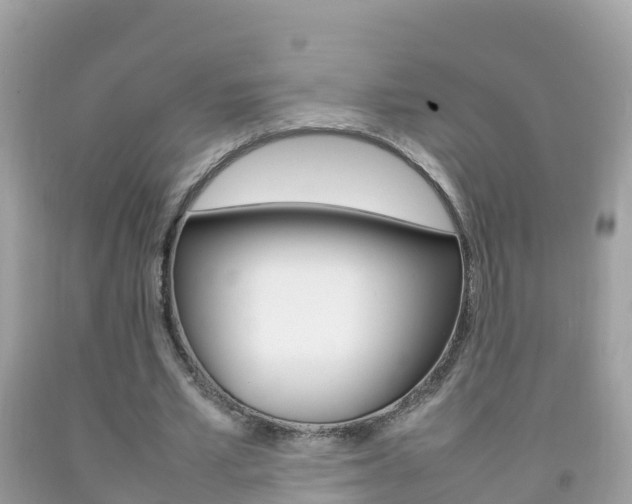 X0000092220581200709140923