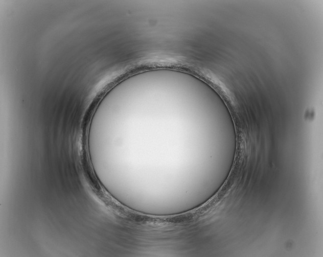 X0000092220582200709140923