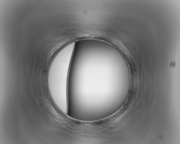 X0000092220585200709140923