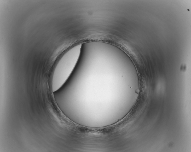 X0000092220586200709140923