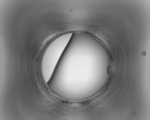 X0000092220587200709140923