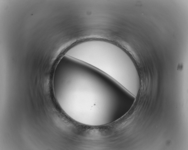 X0000092220588200709140923
