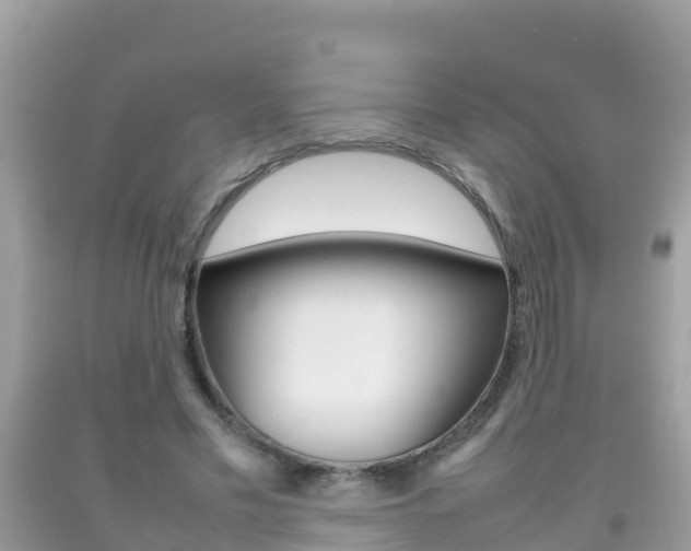 X0000092220589200709140923