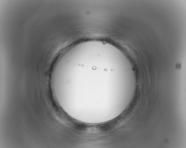 X0000092220591200709140923