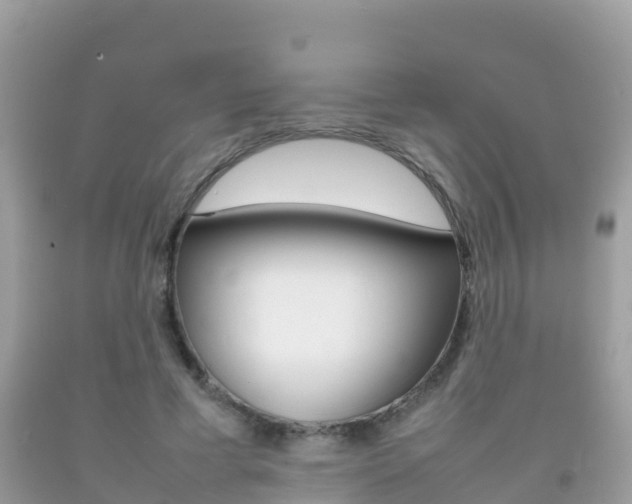 X0000092220593200709140923