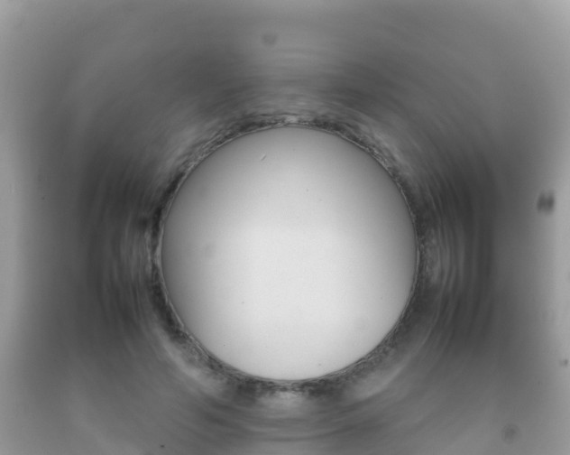 X0000092220594200709140923