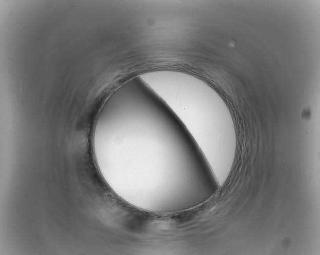 X0000092220595200709140923