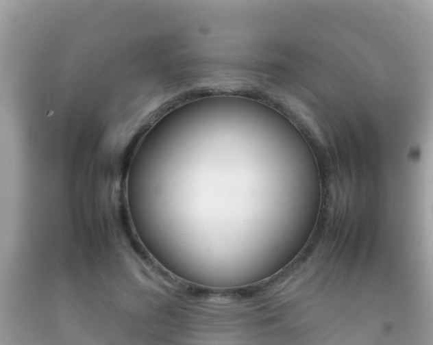 X0000092220596200709140923
