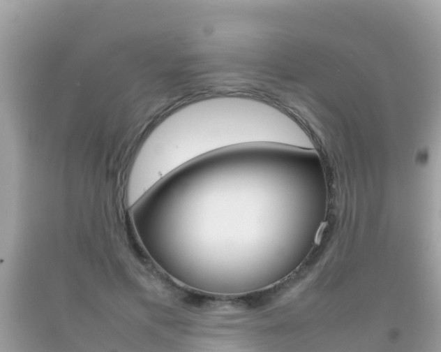 X0000092220597200709140923