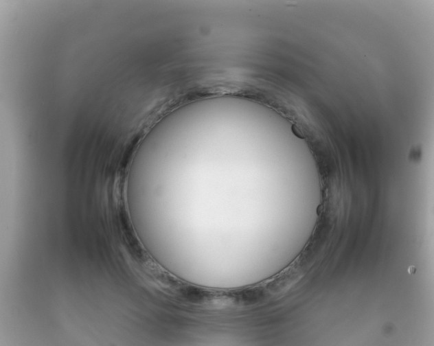 X0000092220598200709140923