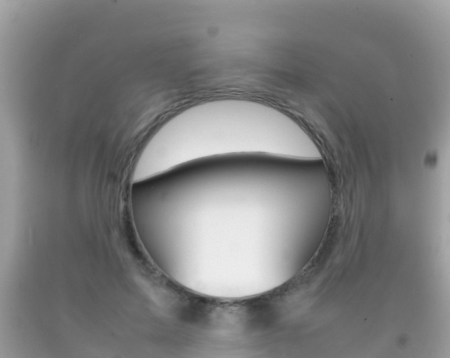 X0000092220599200709140923