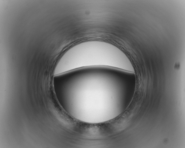 X0000092220600200709140923