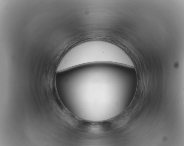 X0000092220604200709140923