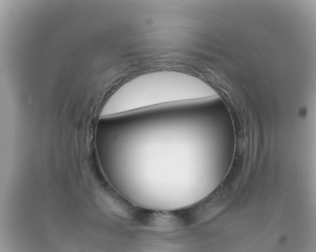 X0000092220605200709140923
