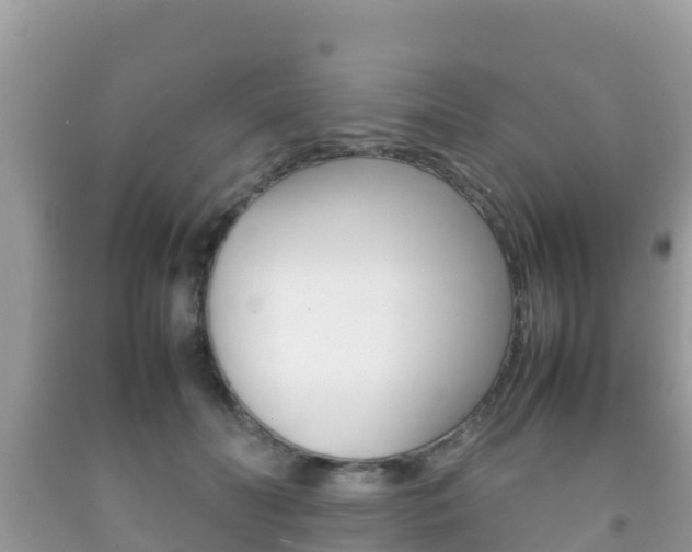 X0000092220606200709140923