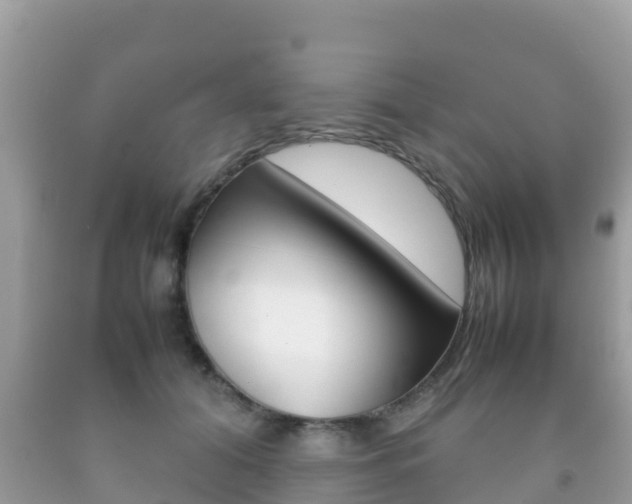 X0000092220608200709140923