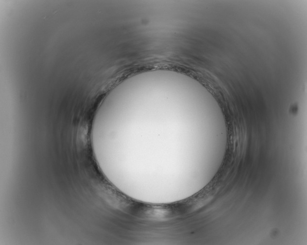 X0000092220610200709140923