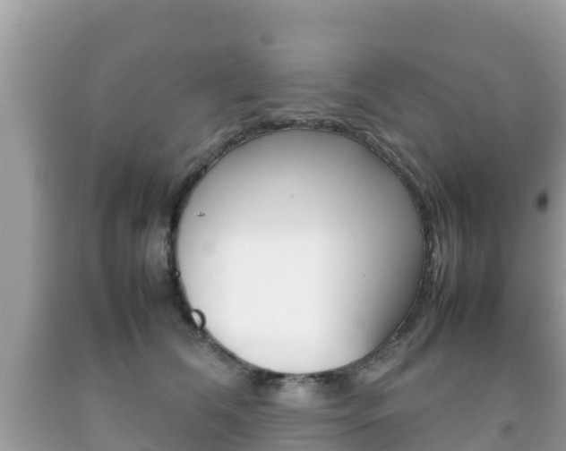 X0000092220612200709140923