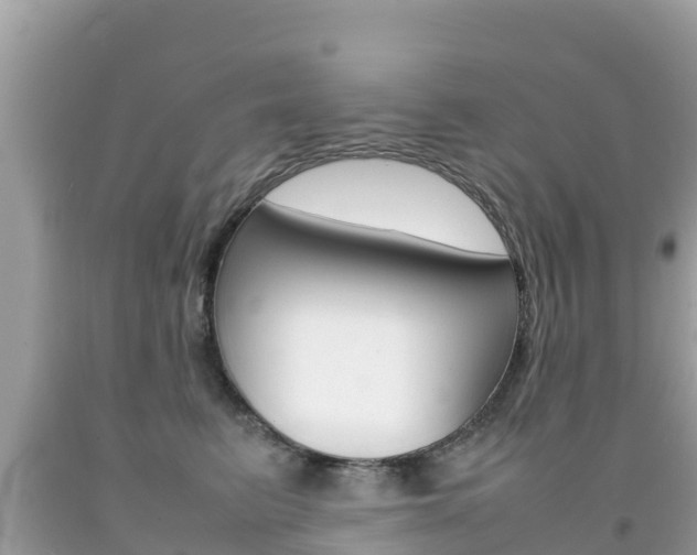 X0000092220615200709140923