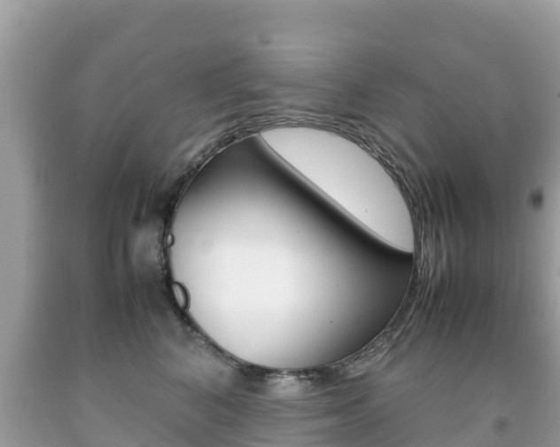 X0000092220616200709140923