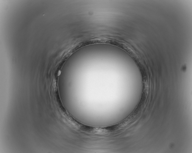 X0000092220617200709140923