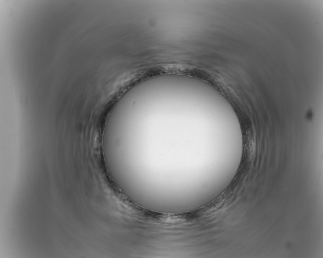 X0000092220619200709140923