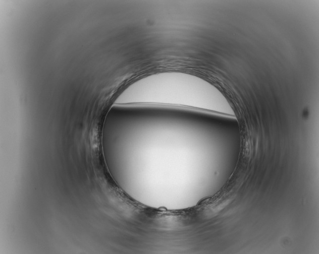 X0000092220620200709140923