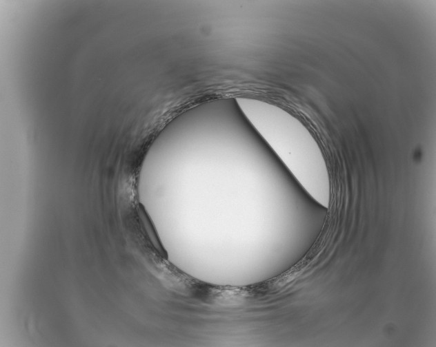 X0000092220621200709140923
