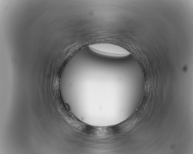 X0000092220623200709140923