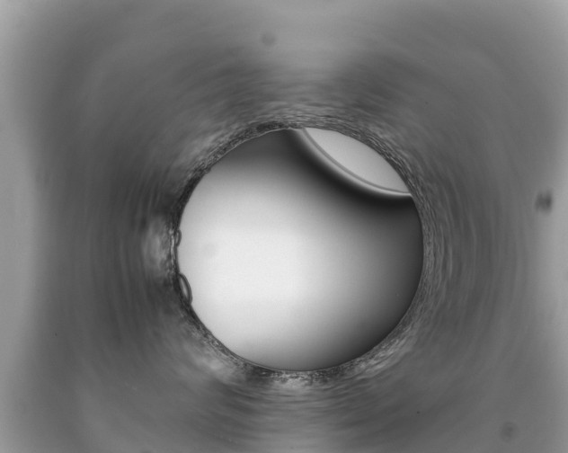 X0000092220624200709140923