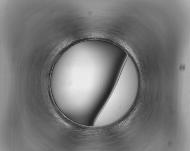 X0000092220625200709140922