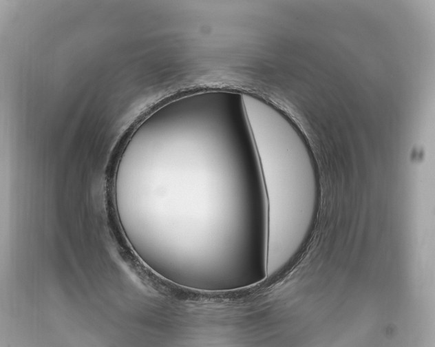 X0000092220626200709140922