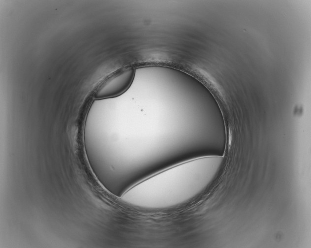 X0000092220627200709140922
