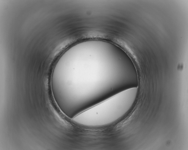X0000092220629200709140922