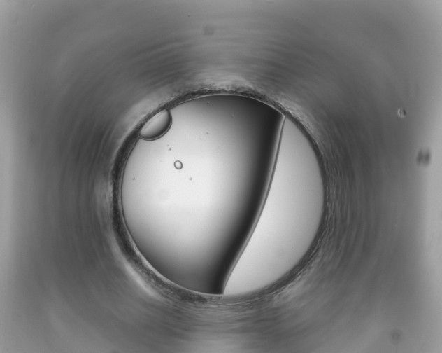 X0000092220630200709140922