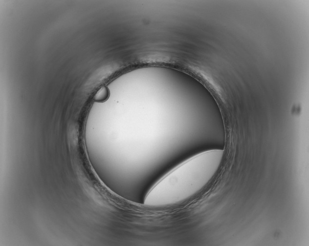 X0000092220631200709140922