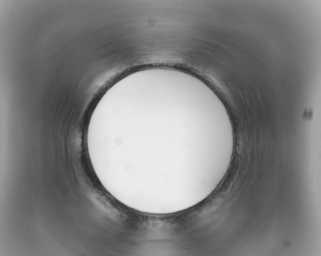 X0000092220632200709140922