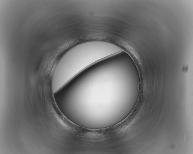 X0000092220633200709140922
