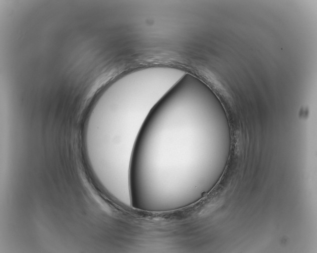 X0000092220634200709140922