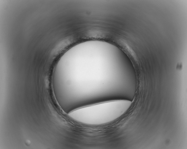 X0000092220635200709140922