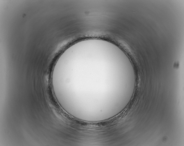 X0000092220636200709140922