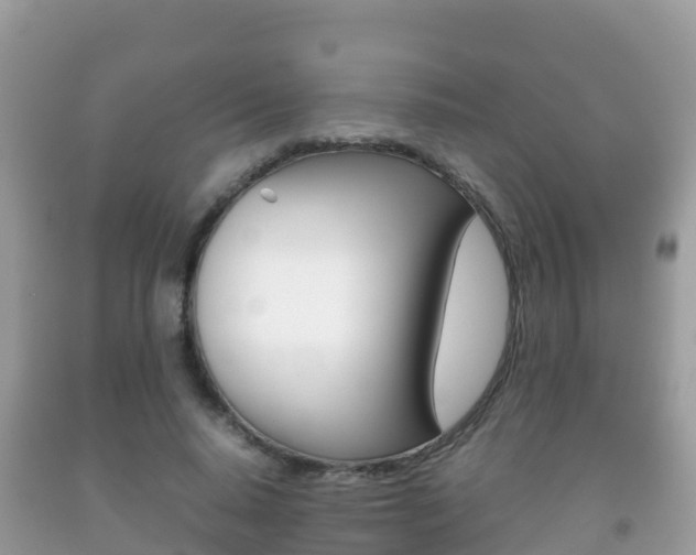 X0000092220640200709140922