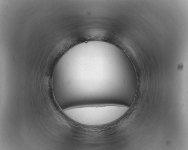 X0000092220641200709140922
